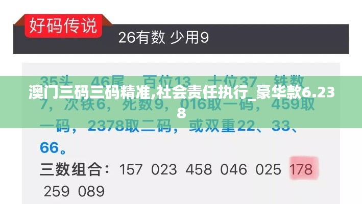 澳门三码三码精准,社会责任执行_豪华款6.238