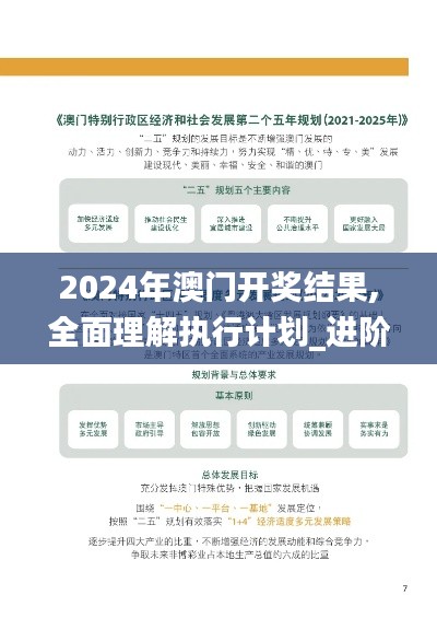 2024年澳门开奖结果,全面理解执行计划_进阶版16.800