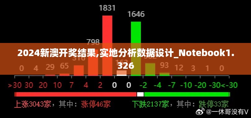 2024新澳开奖结果,实地分析数据设计_Notebook1.326