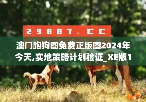 澳门跑狗图免费正版图2024年今天,实地策略计划验证_XE版10.106