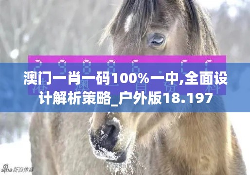 澳门一肖一码100%一中,全面设计解析策略_户外版18.197