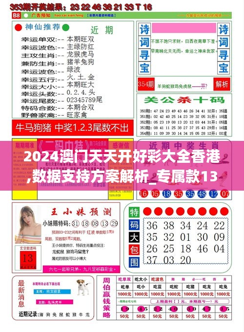 2024澳门天天开好彩大全香港,数据支持方案解析_专属款13.626