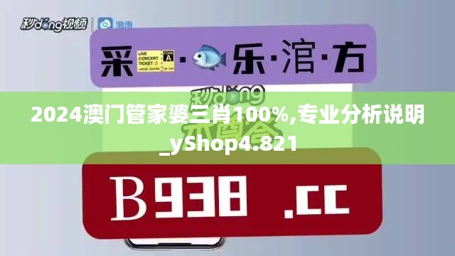 2024澳门管家婆三肖100%,专业分析说明_yShop4.821