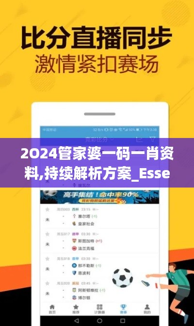 2O24管家婆一码一肖资料,持续解析方案_Essential1.611