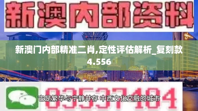 新澳门内部精准二肖,定性评估解析_复刻款4.556