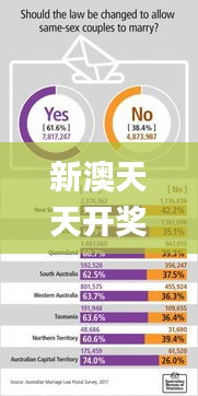 新澳天天开奖资料大全262期,高效性策略设计_BT5.280