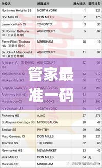 管家最准一码一肖100%,实证数据解释定义_高级版7.565