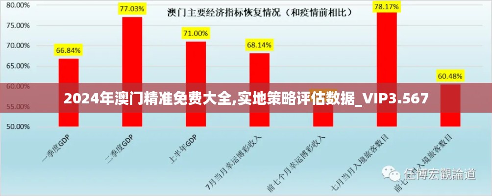 2024年澳门精准免费大全,实地策略评估数据_VIP3.567