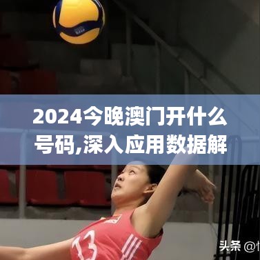 2024今晚澳门开什么号码,深入应用数据解析_豪华款2.711