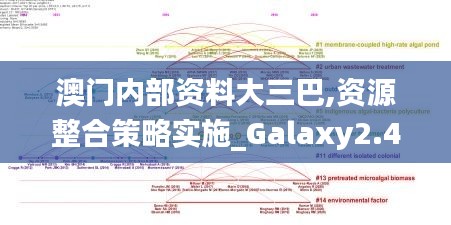 澳门内部资料大三巴,资源整合策略实施_Galaxy2.401