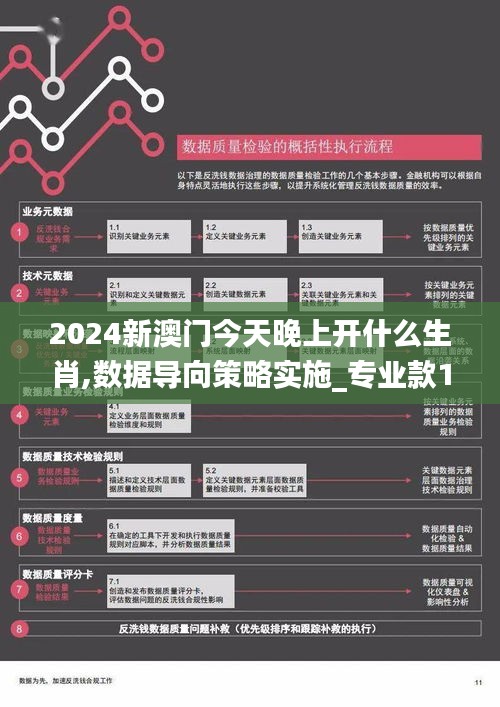 2024新澳门今天晚上开什么生肖,数据导向策略实施_专业款17.737