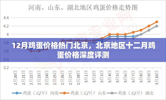 北京地区十二月鸡蛋价格深度解析与热门趋势报告