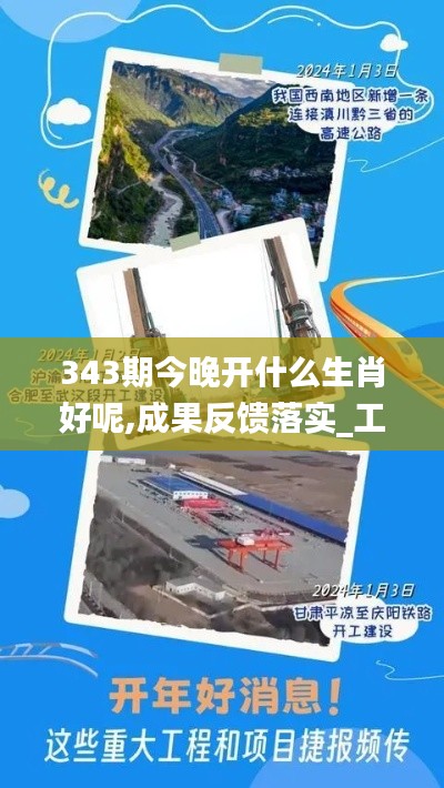 343期今晚开什么生肖好呢,成果反馈落实_工具版7.611