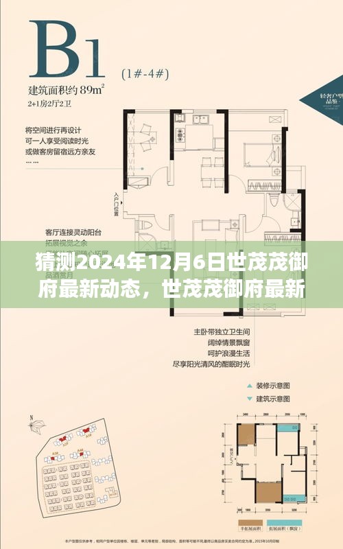 世茂茂御府未来展望，揭秘2024年12月6日最新动态与评测报告