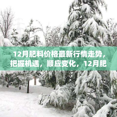 励志成长之旅，顺应变化，掌握机遇——揭秘十二月肥料价格行情走势