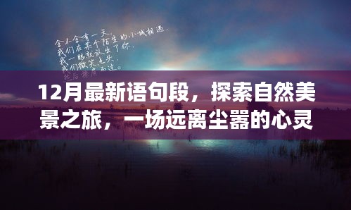 十二月自然美景探索之旅，远离尘嚣，领略宁静之美