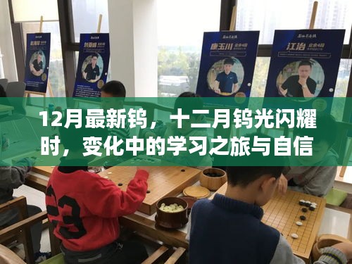 十二月钨光闪耀，学习之旅与自信成就之路