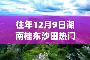 『湖南桂东沙田12月9日热门新闻回顾——初学者与进阶用户指南』