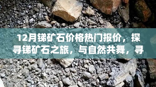 探寻锑矿石之旅，热门报价与心灵的宁静之地，与自然共舞的节奏