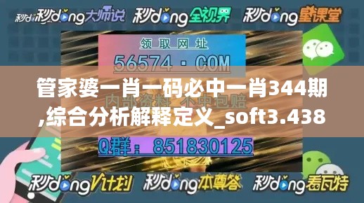 管家婆一肖一码必中一肖344期,综合分析解释定义_soft3.438