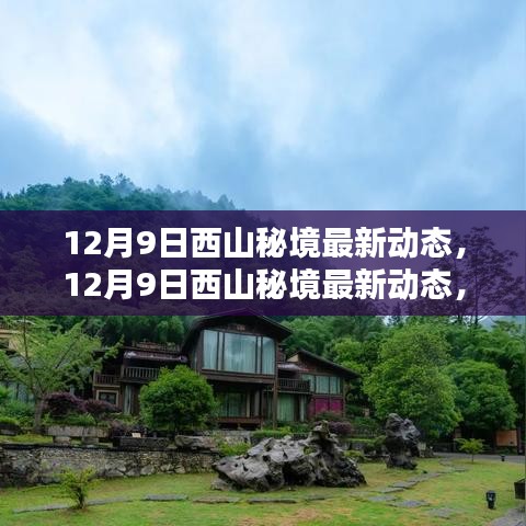 探秘西山秘境，最新动态与冬日自然盛宴