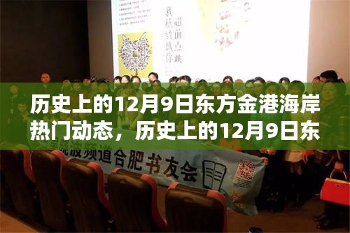 历史上的东方金港海岸，揭秘十二月九日热门动态回顾