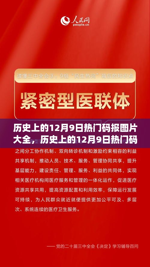 历史上的12月9日热门码报图片回顾，值得铭记的瞬间全景展示