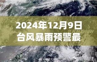 台风暴雨预警更新，探寻自然秘境的诗意旅行之旅