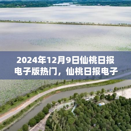 仙桃日报电子版热门阅读指南与操作步骤（2024年12月9日版）