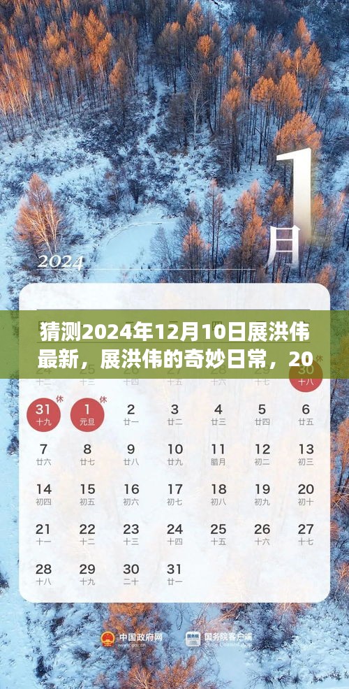 展洪伟的奇妙日常，温馨时光展洪伟最新动态揭晓，2024年12月10日展望