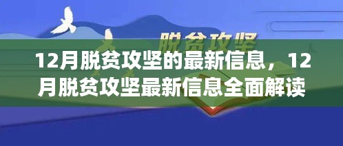 脱贫攻坚12月最新动态，全面解读与参与助力指南