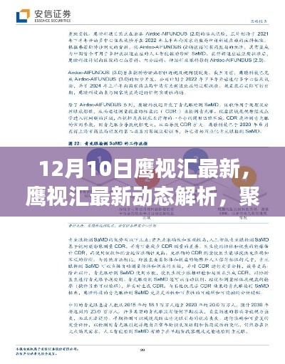 聚焦未来发展趋势，鹰视汇最新动态解析（12月10日版）