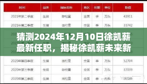 揭秘徐凯薪未来动向，预测其于2024年12月10日的最新任职揭晓！