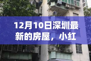 独家揭秘！小红书热推深圳最新房源速递，理想家园等你来选！