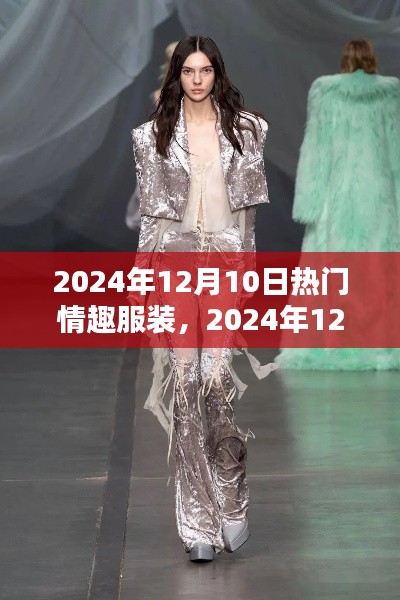 2024年12月10日时尚情趣服装盛宴，引领潮流的性感魅力之选