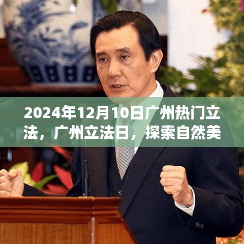 广州立法日，探索自然美景之旅，寻找内心的宁静与平和（2024年12月10日）