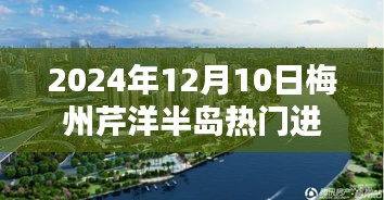 2024年12月10日梅州芹洋半岛的新篇章，热土之上的温馨日常