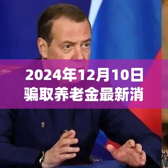 关于养老金骗取行为的深度剖析及最新消息（以2024年12月为例）