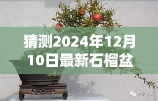 揭秘石榴盆景智能图像生成系统，预测未来盆景新风尚，独家体验报告（附最新盆景图片）