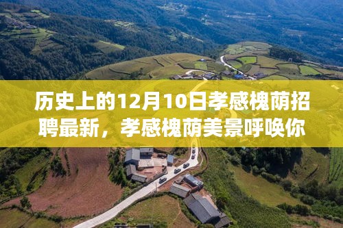 孝感槐荫美景呼唤你，最新招聘启航，探寻心灵之旅的启程日（12月10日）