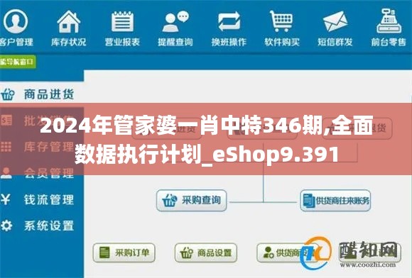 2024年管家婆一肖中特346期,全面数据执行计划_eShop9.391