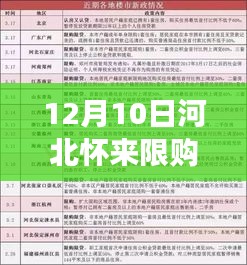 河北怀来限购最新消息解读与操作指南，最新政策解读及操作指南（12月10日更新）