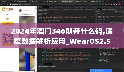 2024年澳门346期开什么码,深度数据解析应用_WearOS2.526