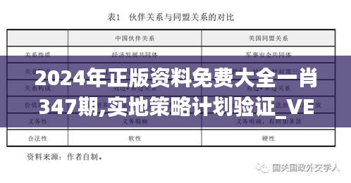 2024年正版资料免费大全一肖347期,实地策略计划验证_VE版2.369