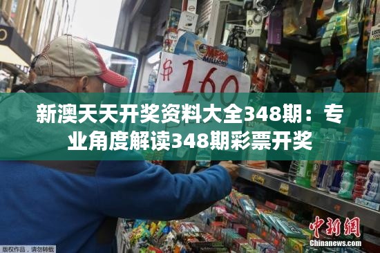 新澳天天开奖资料大全348期：专业角度解读348期彩票开奖