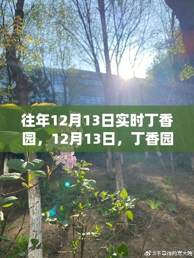 丁香园里寻找心灵的宁静时光，每年的十二月十三日