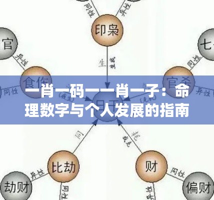 一肖一码一一肖一子：命理数字与个人发展的指南