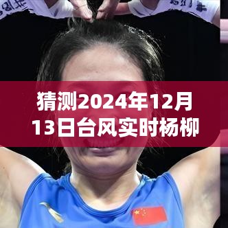 如何猜测并追踪即将到来的杨柳台风（2024年12月13日），台风实时预测与追踪步骤指南（适用于初学者与进阶用户）