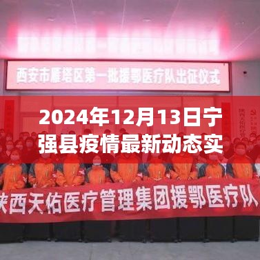 宁强县疫情最新动态实时报告，深度解析与体验评测