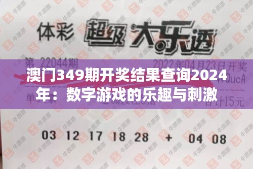 澳门349期开奖结果查询2024年：数字游戏的乐趣与刺激